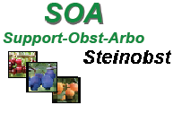 Details zum Projekt